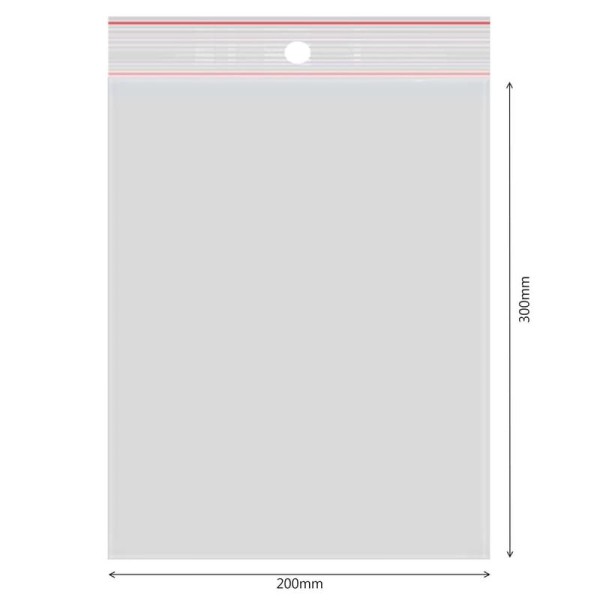 woreczki-strunowe-200x300 mm (2).jpg