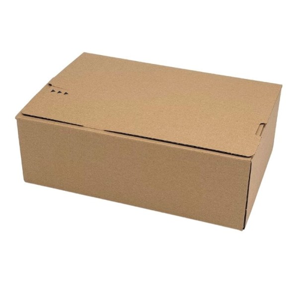 karton-automatyczny-230x160x80mm-VP25 (3)
