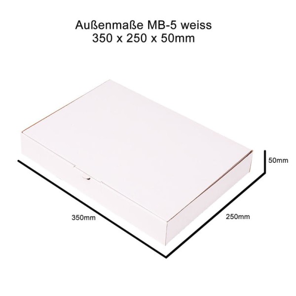 karton-fasonowy-350x250x50mm-MB5-bialy (4)